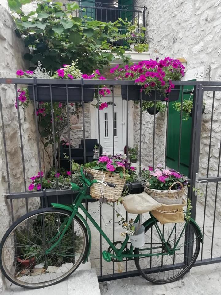 Apartman Teta Jadre Makarska Exteriör bild